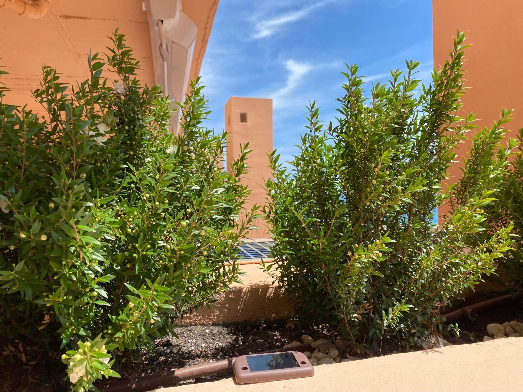 Sunrise Atalaya Amanecer Suite Mojácar Dış mekan fotoğraf